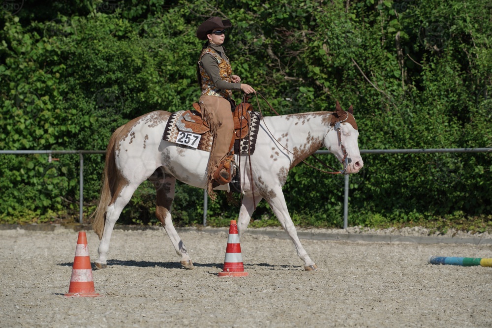 s_APF06821.jpg
